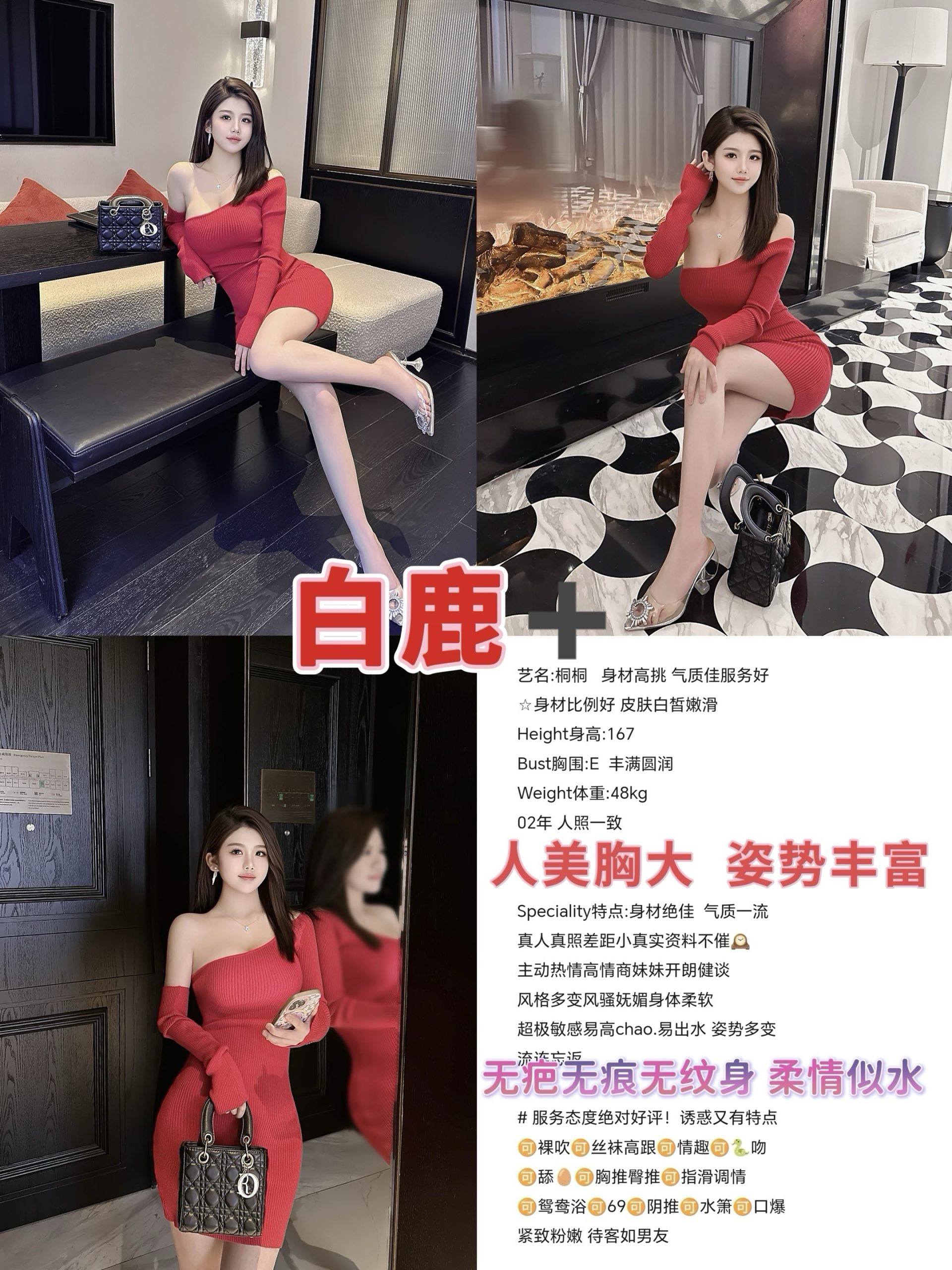 11月2 中圈 东门 桐桐